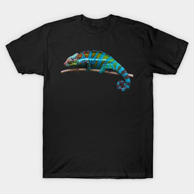 Chameleon, Aqua Blue T-Shirt by PixDezines